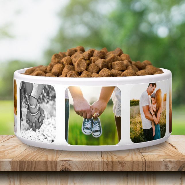 9 Photos in Round Edge Frame Pet Bowl (Creator Uploaded)