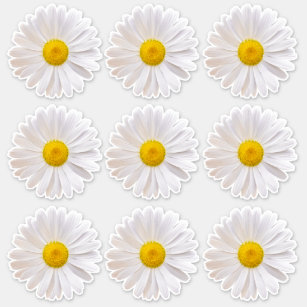 9 Shasta Daisy Flower Kiss-Cut Stickers