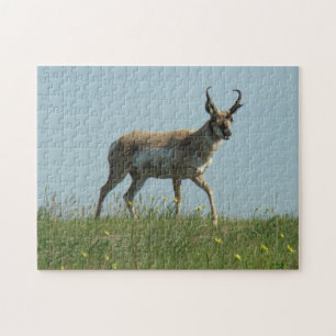 A10 Pronghorn Antelope Walking Threw Wildflowers Jigsaw Puzzle