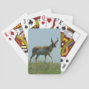 A10 Pronghorn Antelope Walking Threw Wildflowers Playing Cards