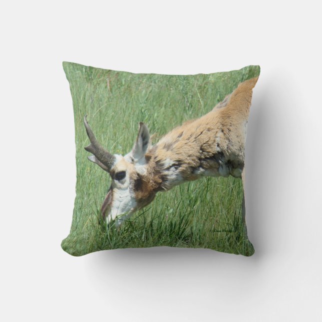 A11 Pronghorn Antelope Grazing Cushion (Front)