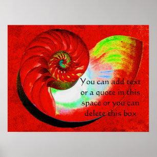 A15 Nautilus Shell Poster - With Your Text - 3
