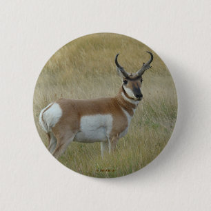 A1 Pronghorn Antelope 6 Cm Round Badge