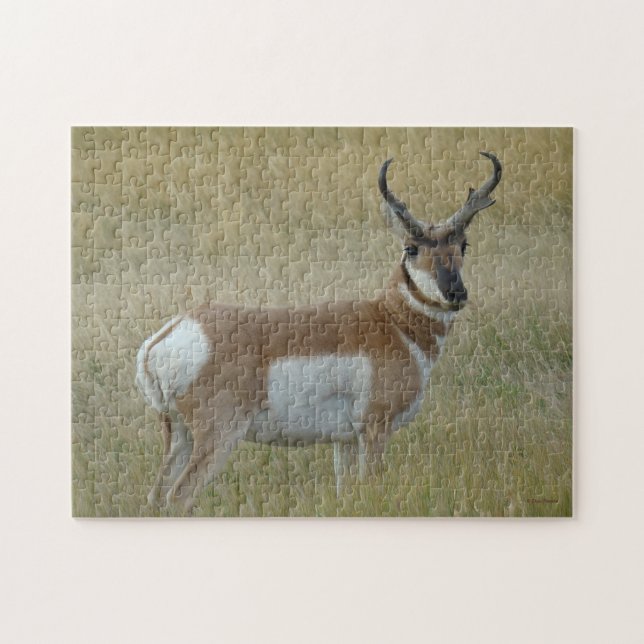 A1 Pronghorn Antelope Big Buck Jigsaw Puzzle (Horizontal)