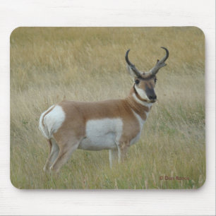 A1 Pronghorn Antelope Big Buck Mouse Pad