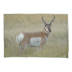 A1 Pronghorn Antelope Big Buck Pillowcase