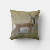 A1 Pronghorn Antelope Buck