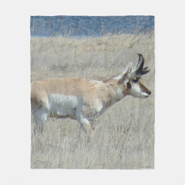 A25 Pronghorn Antelope Fleece Blanket (Front)