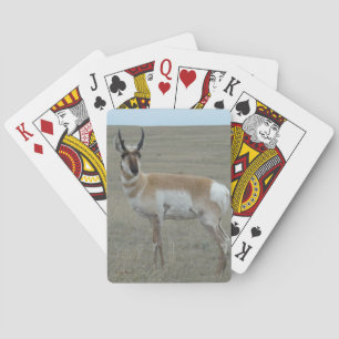 A28 Pronghorn Antelope Young Buck Playing Cards