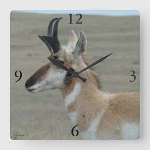 A29 Pronghorn Antelope Young Buck Head Profile Square Wall Clock