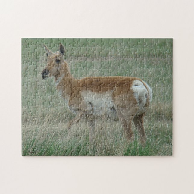 A31 Pronghorn Antelope Doe Jigsaw Puzzle (Horizontal)