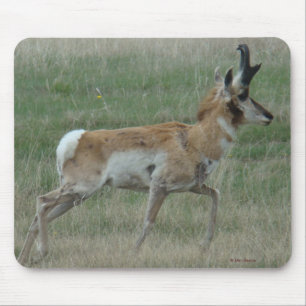 A32 Pronghorn Antelope Buck Mouse Pad