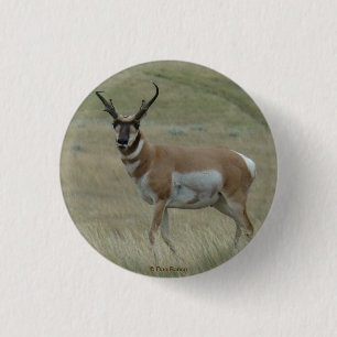 A33 Pronghorn Antelope Buck Crooked Horns 3 Cm Round Badge