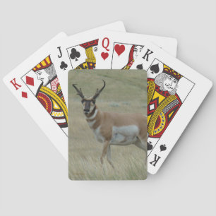 A33 Pronghorn Antelope Buck Crooked Horns Playing Cards