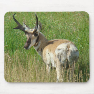 A35 Pronghorn Antelope Buck Mouse Pad