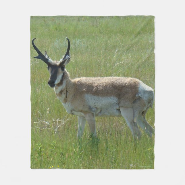 A36 Pronghorn Antelope Buck Fleece Blanket (Front)