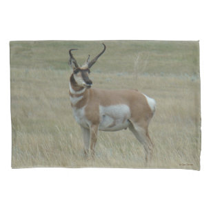 A37 Pronghorn Antelope Big Buck Crooked Horns Pillowcase