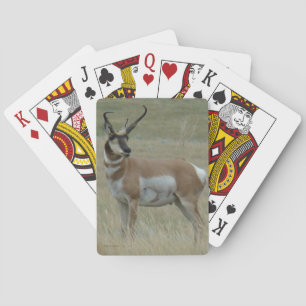 A37 Pronghorn Antelope Big Buck Crooked Horns Playing Cards