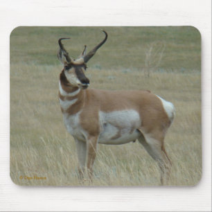 A37 Pronghorn Antelope Crooked Horns Mouse Pad