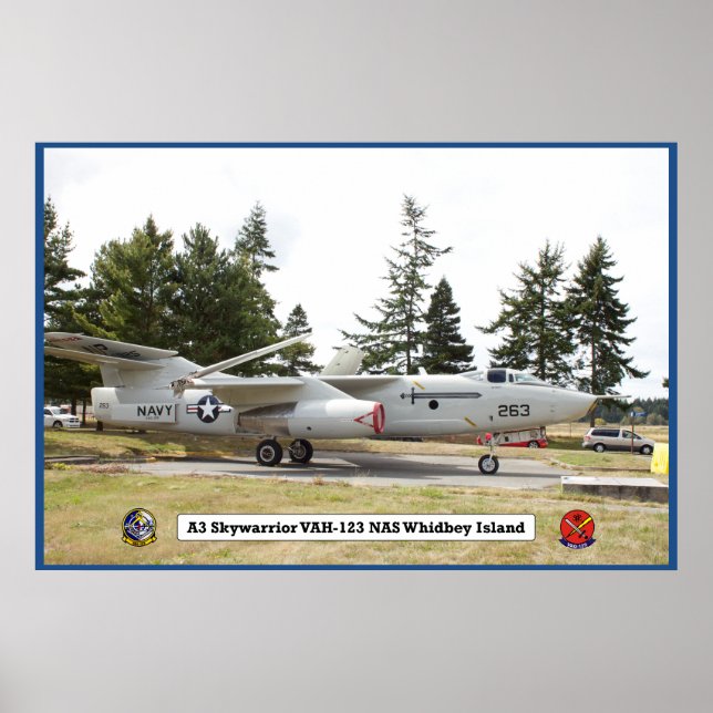 A3 Skywarrior VAH 123 Aircraft Poster (Front)