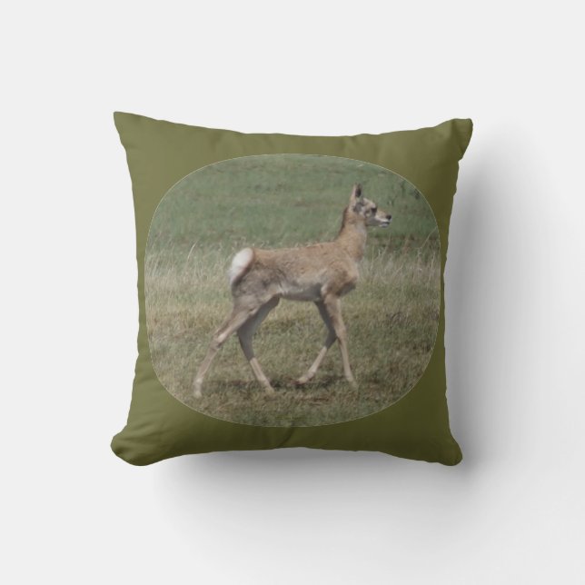 A42 Baby Pronghorn Antelope Cushion (Front)