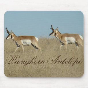 A45 Pronghorn Antelope Young Bucks Mouse Pad