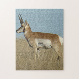 A46 Pronghorn Antelope Jigsaw Puzzle