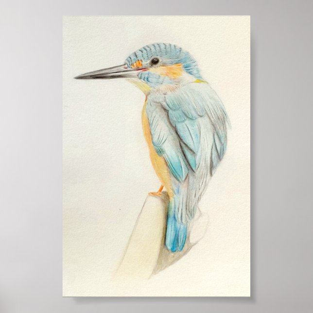 A4 Beautiful Kingfisher Pencil Drawing Print (Front)
