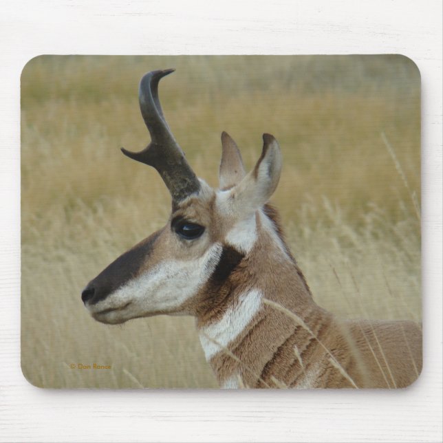 A4 Pronghorn Antelope Head Profile Mouse Pad (Front)