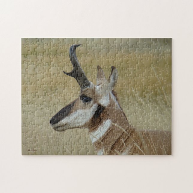 A4 Pronghorn Antelope Head Shot Profile Jigsaw Puzzle (Horizontal)