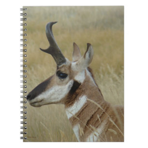 A4 Pronghorn Antelope Young Buck Head Shot Profile Notebook