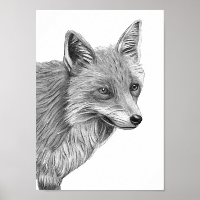 A4 Red Fox Pencil Drawing Print monochrome  (Front)