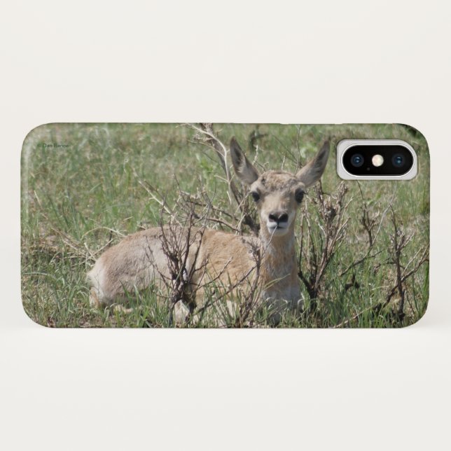 A7 Baby Pronghorn Antelope Case-Mate iPhone Case (Back (Horizontal))