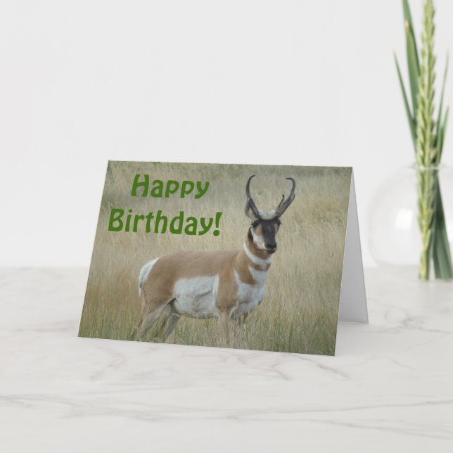 A8 Pronghorn Antelope Big Buck Card (Front)