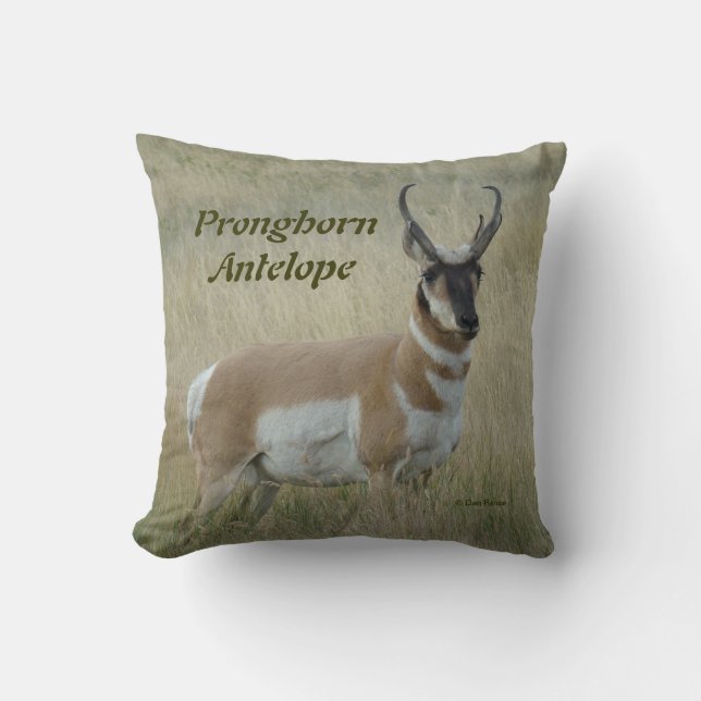 A8 Pronghorn Antelope Big Buck Cushion (Front)