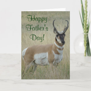A9 Pronghorn Antelope Big Buck Card