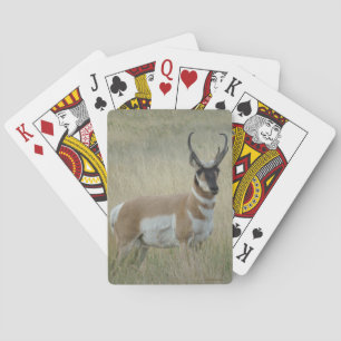 A9 Pronghorn Antelope Big Buck Playing Cards