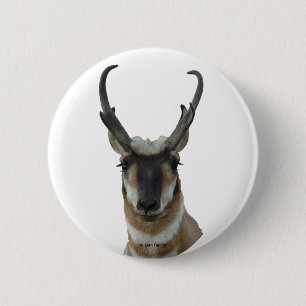 A9 Pronghorn Antelope Head 6 Cm Round Badge
