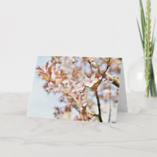 A 7 x 5'' blank greeting card