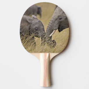 A African Elephant grazing in the fields Ping Pong Paddle