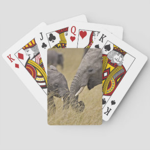 A African Elephant grazing in the fields Playing Cards