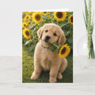 A&B Benny Sunflower Card