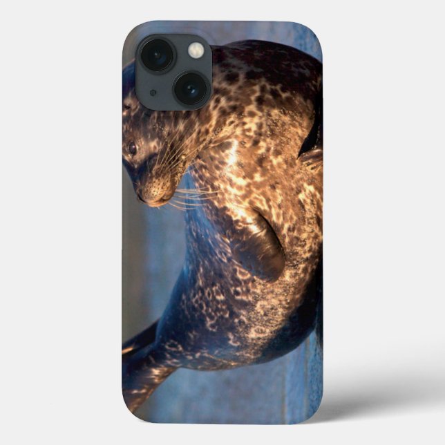 A baby seal lifting it's tail Case-Mate iPhone case (Back)