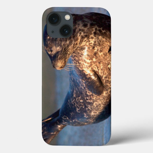 A baby seal lifting it's tail Case-Mate iPhone case (Back)