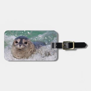 A baby seal surfing luggage tag