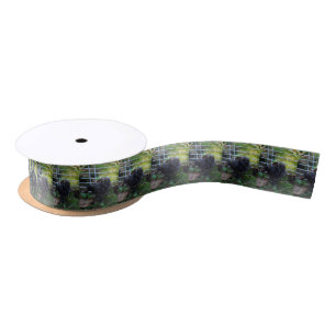 A Baby Silkie Satin Ribbon