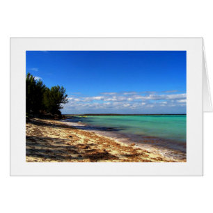 A Bahama Moment