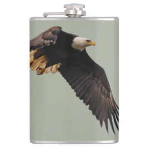 A Bald Eagle Takes to the Sky Hip Flask