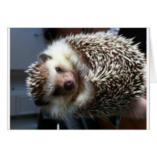 A ball of Spike