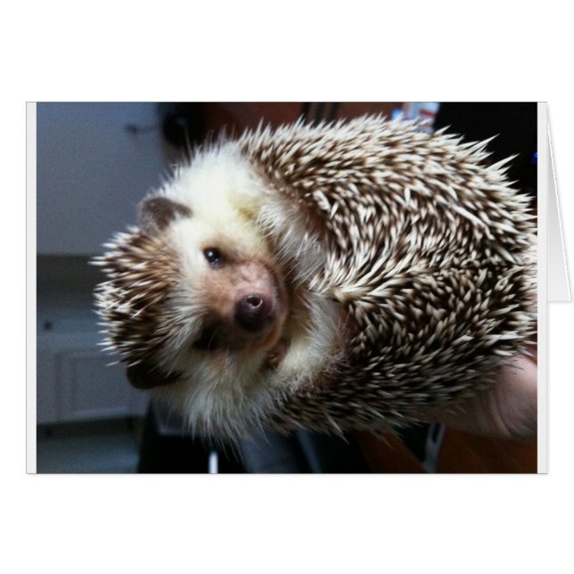 A ball of Spike (Front Horizontal)